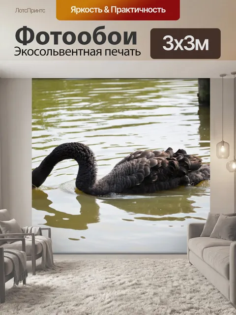 Фотообои Черный лебедь серия 1, водный балет 3