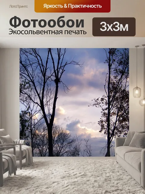 Фотообои Утреннее небо с деревьями 2