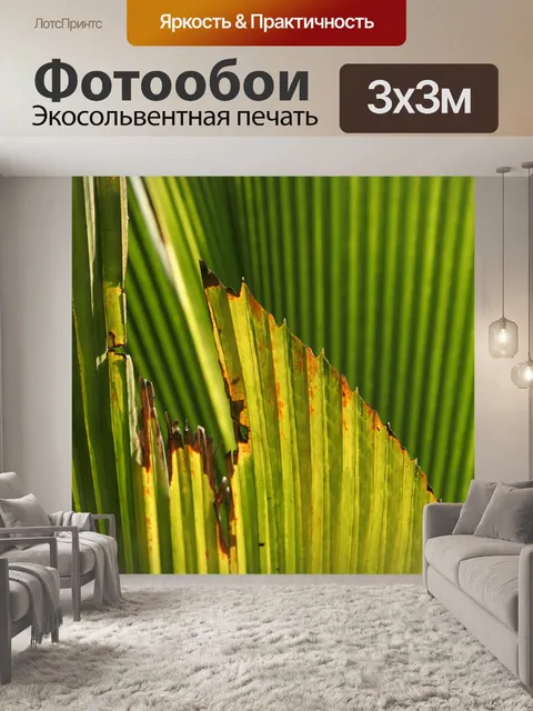 Фотообои Листья