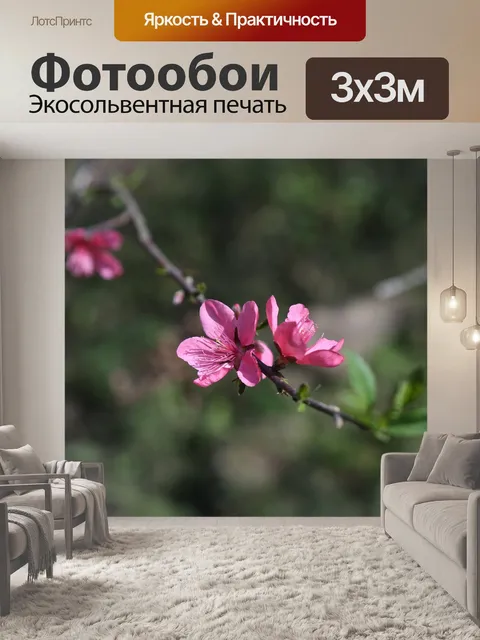 Фотообои Цветы персика