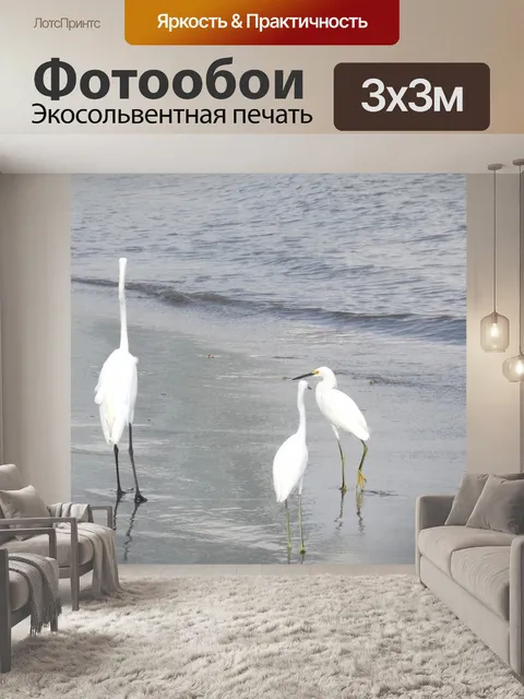 Фотообои Цапля