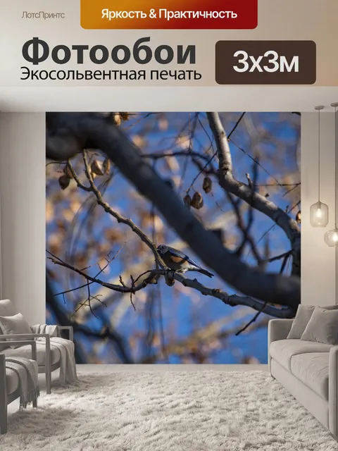 Фотообои Синяя птица на дереве, Turdidae, дрозд