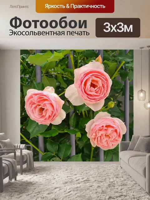Фотообои Три розовых бенгальских розы