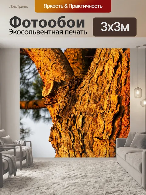 Фотообои Кора