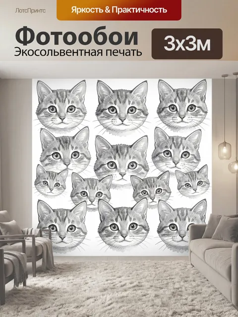 Фотообои Серые котики с большими глазами