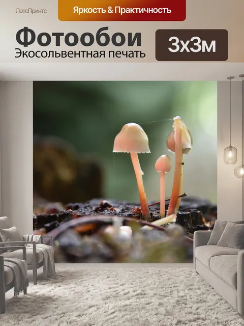 Фотообои Лес