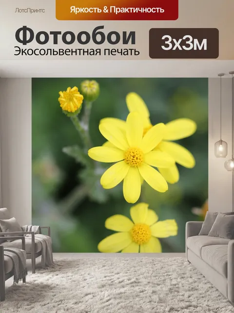 Фотообои Зеленый