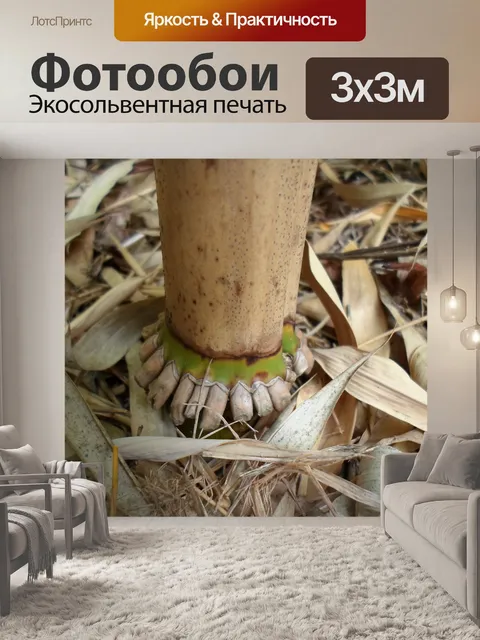 Фотообои Бамбуковый коричневый соломенный
