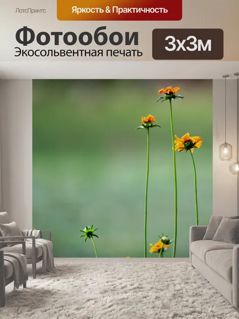 Фотообои высокие желтые ромашки