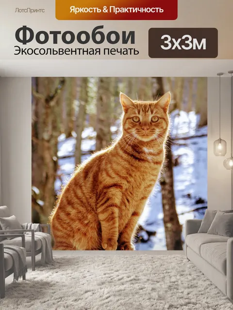 Фотообои Кошка