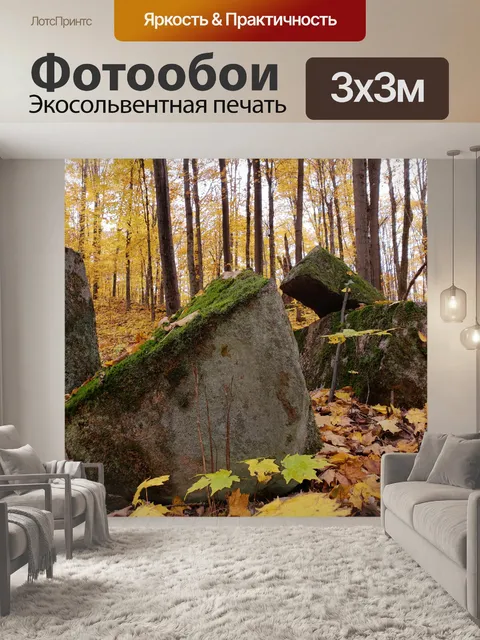Фотообои Осенние деревья и скалы