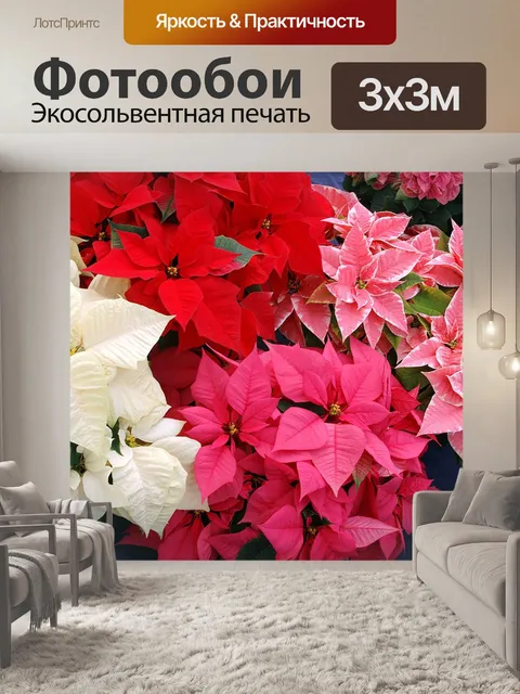 Фотообои Цветы