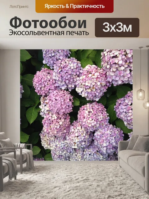 Фотообои Гортензия