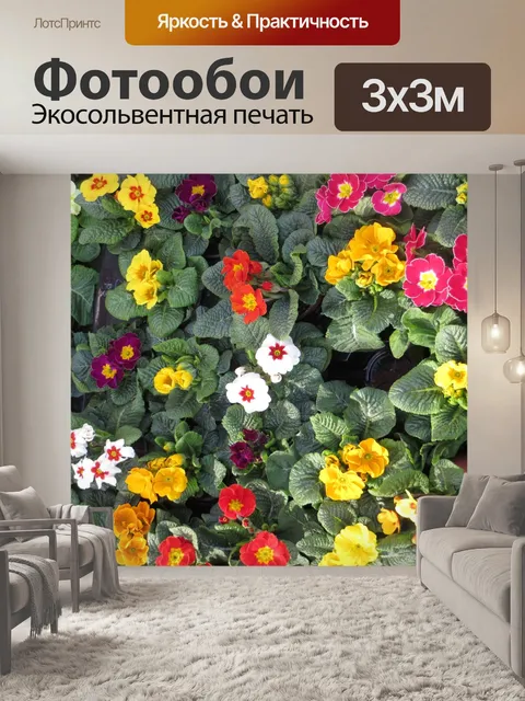 Фотообои Красочные первоцветы