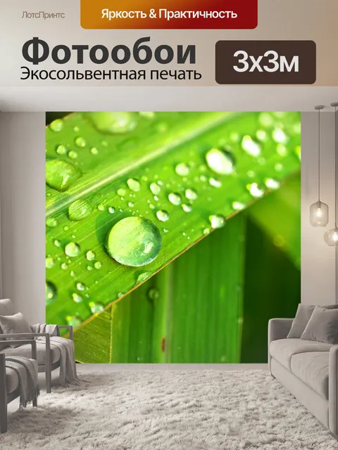 Фотообои Капля воды на листе