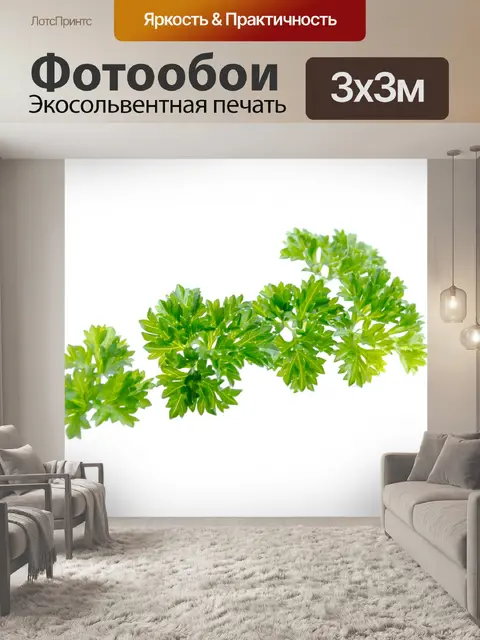 Фотообои Свежая петрушка