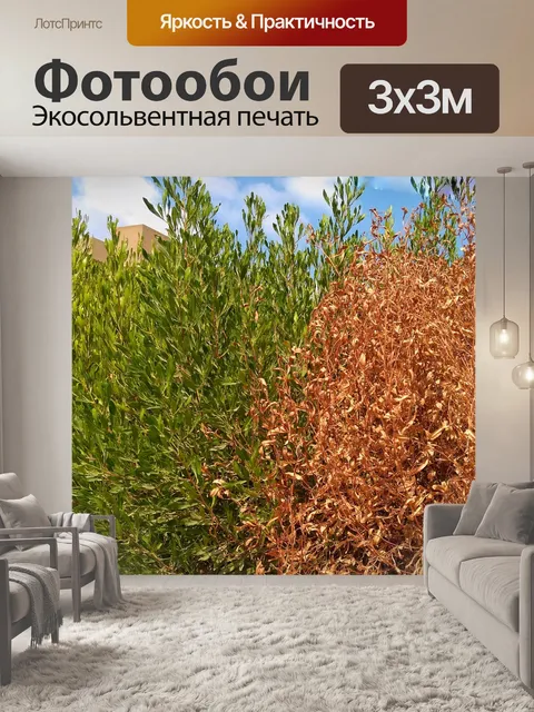 Фотообои Дерево