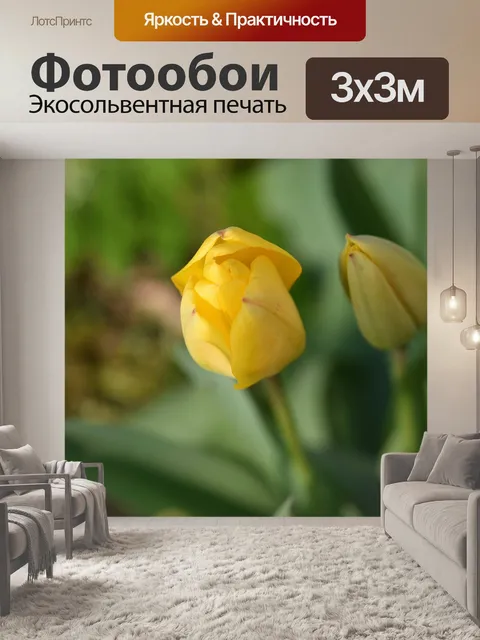 Фотообои Цветок