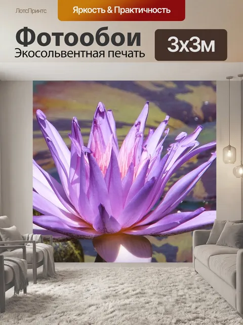 Фотообои Фиолетовый