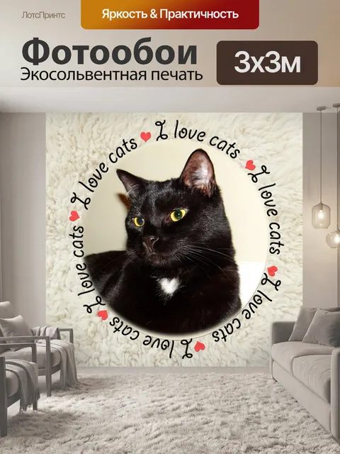 Фотообои Я люблю кошек