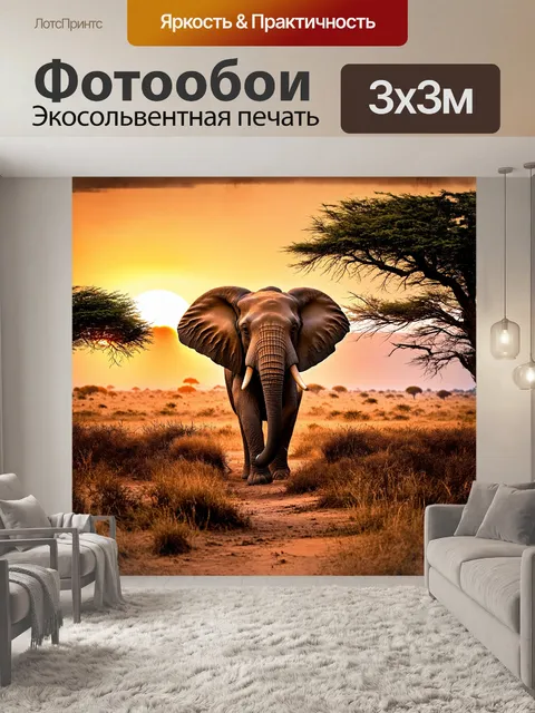 Фотообои слон в африканской саванне на закате