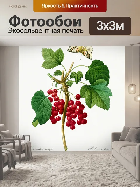 Фотообои Фрукты старинное искусство