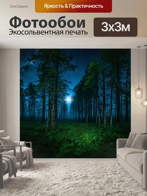 Фотообои россия леса — загадочные ночные леса