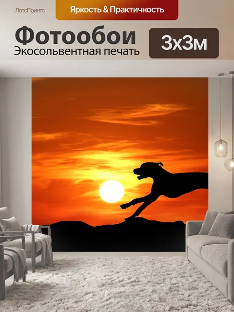 Фотообои Собака работает силуэт закат