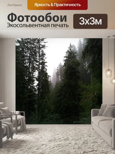 Фотообои Туман