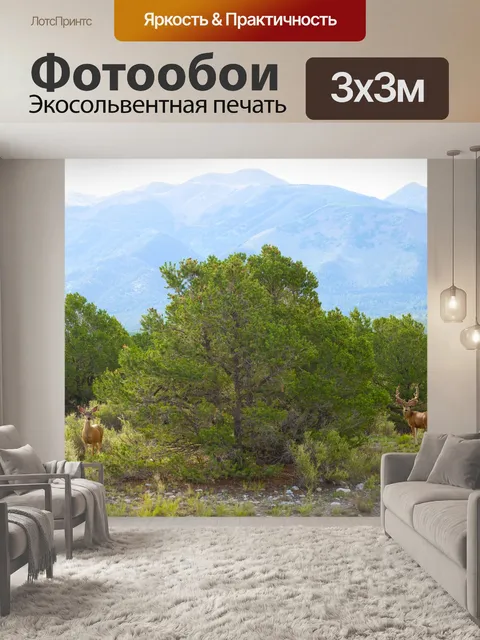 Фотообои Два Олень в лесу