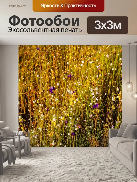 Фотообои Трава цветочное поле, полевые цветы