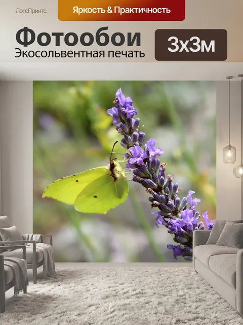 Фотообои Крушинница