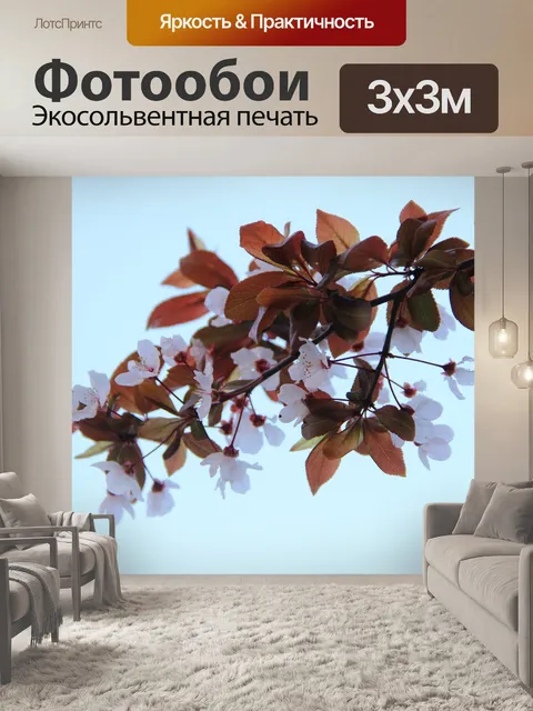 Фотообои Вишни в цвету