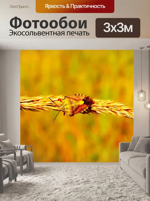 Фотообои Borczyniec фруктовый