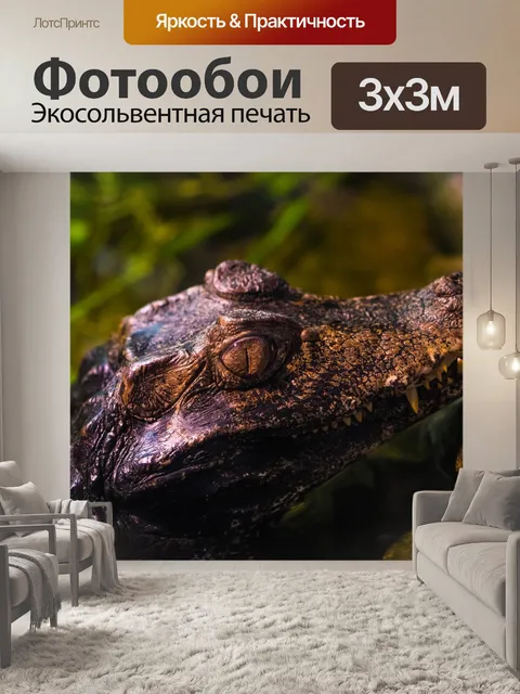 Фотообои Кайман