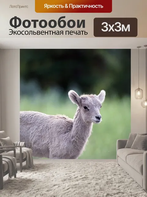 Фотообои Снежный баран