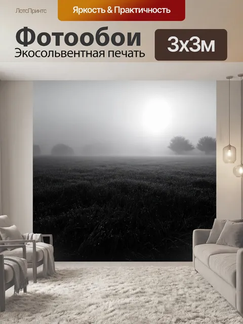Фотообои туман в стиле черно-белый, утреннее солнце, пробивающееся сквозь туман над полем