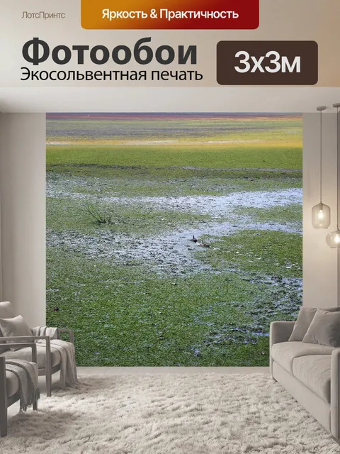 Фотообои Болото