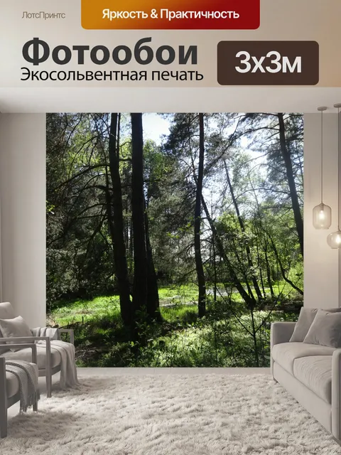 Фотообои Лес в Польше