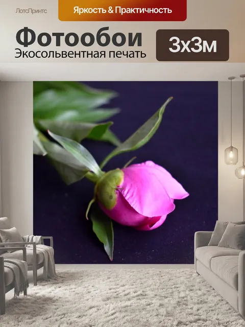 Фотообои Пион
