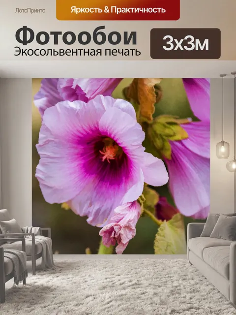 Фотообои Розовый Холлихок