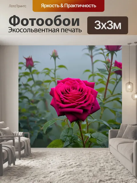 Фотообои розы в утреннем тумане