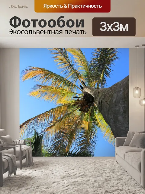 Фотообои Кокосовое дерево