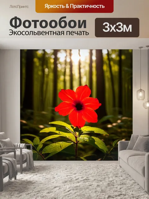 Фотообои алый цветок в глубоком лесу с солнечными лучами, пробивающимися сквозь листву