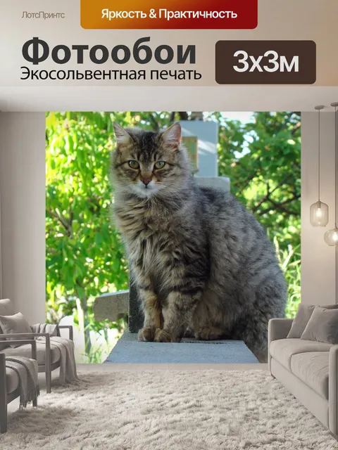 Фотообои Кошка
