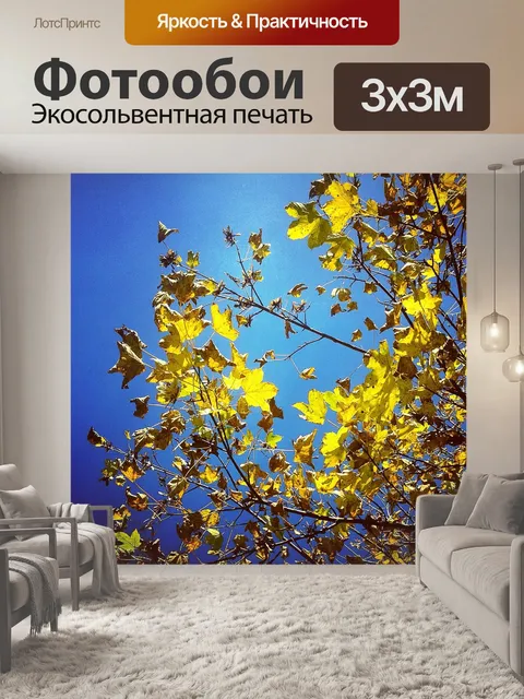 Фотообои Осень