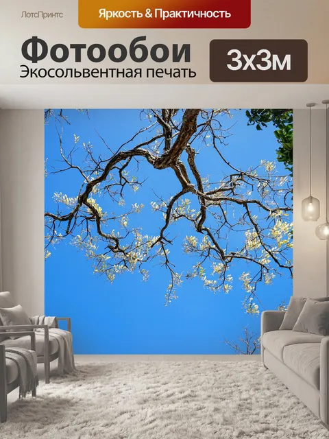 Фотообои Голубое небо