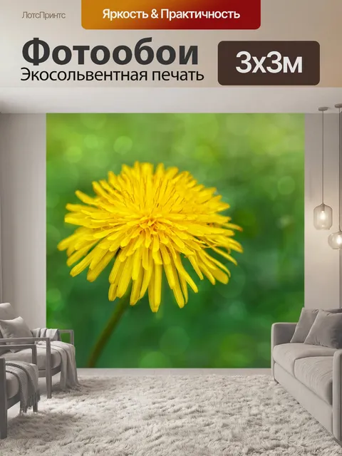 Фотообои Одуванчик капли цветут