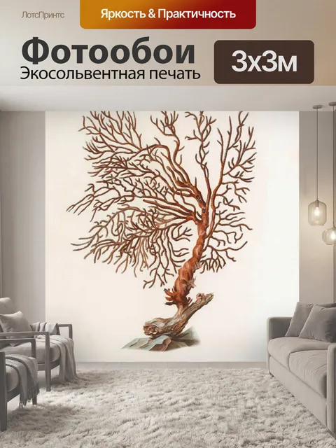 Фотообои Коралловые старинные картины искусства