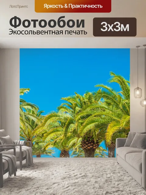 Фотообои Пальмы и голубое небо